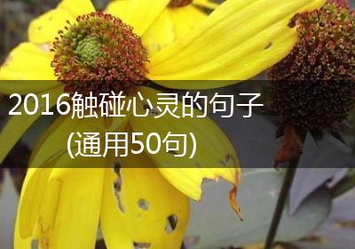 2016触碰心灵的句子(通用50句)