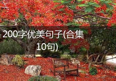 200字优美句子(合集10句)