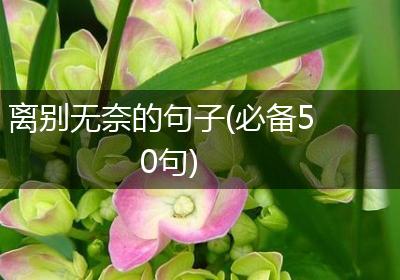 离别无奈的句子(必备50句)