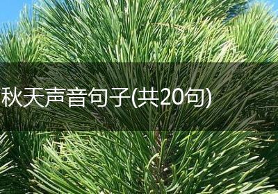 秋天声音句子(共20句)
