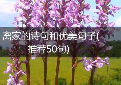 离家的诗句和优美句子(推荐50句)