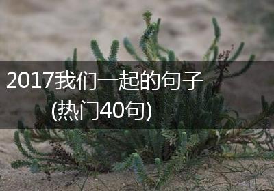 2017我们一起的句子(热门40句)