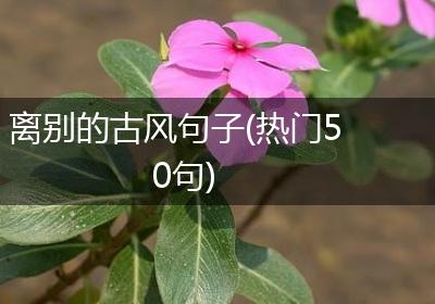 离别的古风句子(热门50句)