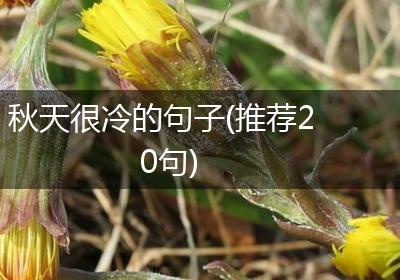 秋天很冷的句子(推荐20句)
