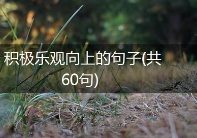 积极乐观向上的句子(共60句)
