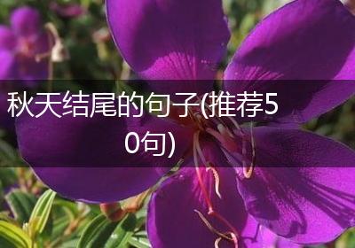 秋天结尾的句子(推荐50句)