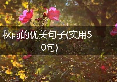 秋雨的优美句子(实用50句)