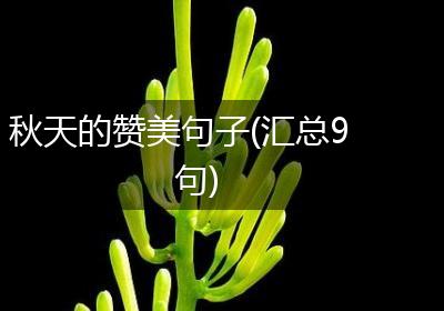 秋天的赞美句子(汇总9句)