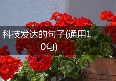 科技发达的句子(通用10句)