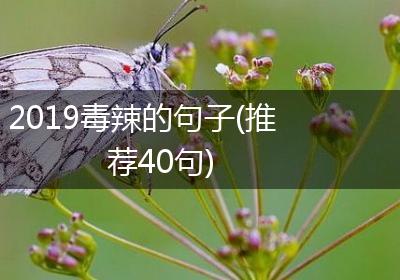 2019毒辣的句子(推荐40句)