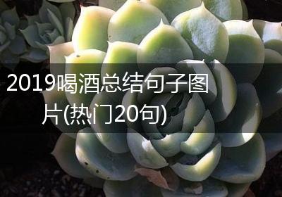 2019喝酒总结句子图片(热门20句)
