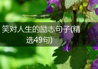 笑对人生的励志句子(精选49句)