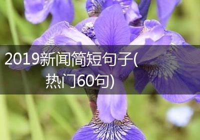 2019新闻简短句子(热门60句)