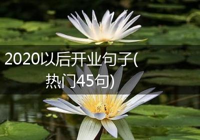 2020以后开业句子(热门45句)