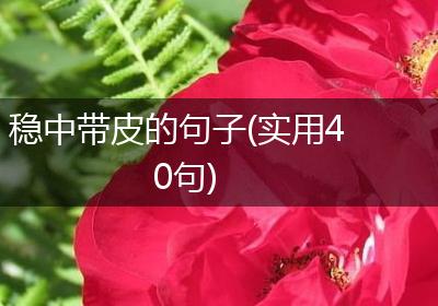 稳中带皮的句子(实用40句)