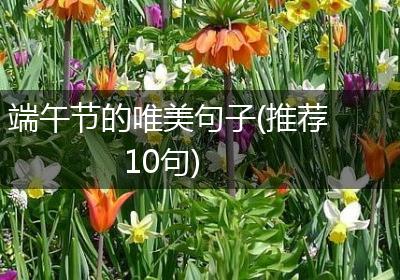 端午节的唯美句子(推荐10句)