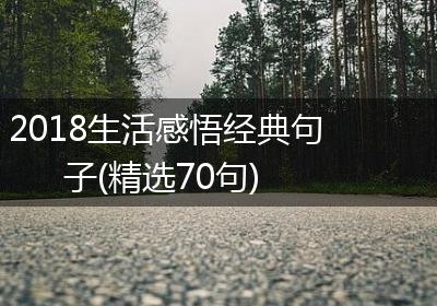 2018生活感悟经典句子(精选70句)