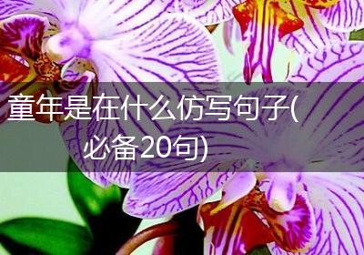 童年是在什么仿写句子(必备20句)