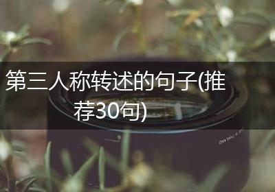 第三人称转述的句子(推荐30句)