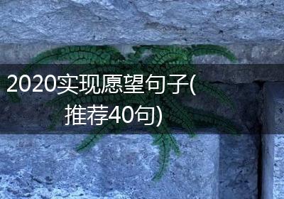 2020实现愿望句子(推荐40句)