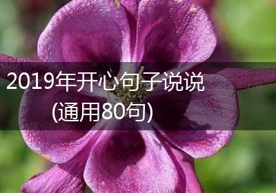 2019年开心句子说说(通用80句)