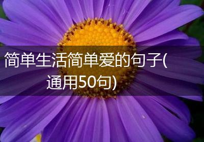 简单生活简单爱的句子(通用50句)