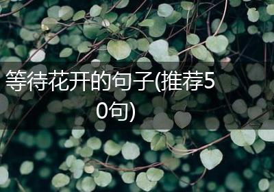 等待花开的句子(推荐50句)