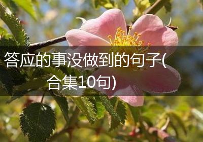 答应的事没做到的句子(合集10句)