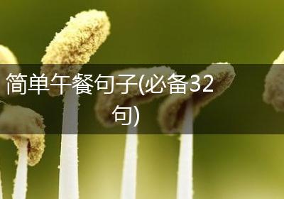 简单午餐句子(必备32句)