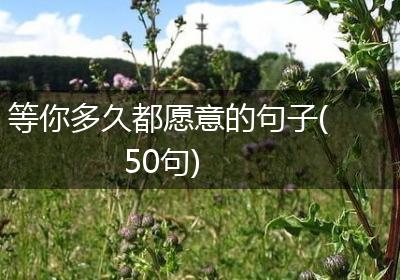 等你多久都愿意的句子(50句)