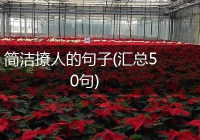 简洁撩人的句子(汇总50句)