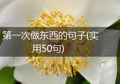 第一次做东西的句子(实用50句)