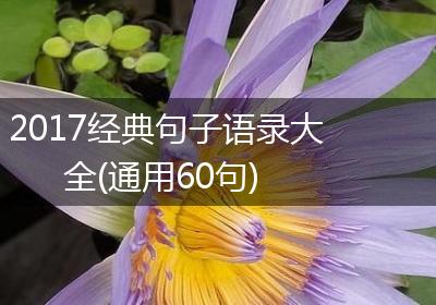 2017经典句子语录大全(通用60句)
