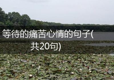 等待的痛苦心情的句子(共20句)