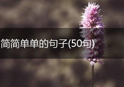 简简单单的句子(50句)