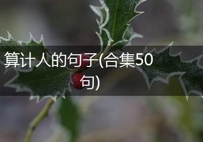 算计人的句子(合集50句)