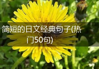 简短的日文经典句子(热门50句)