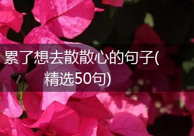 累了想去散散心的句子(精选50句)
