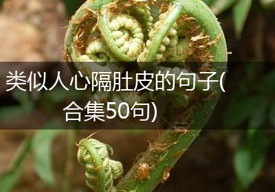 类似人心隔肚皮的句子(合集50句)
