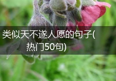 类似天不遂人愿的句子(热门50句)