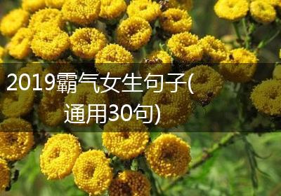 2019霸气女生句子(通用30句)