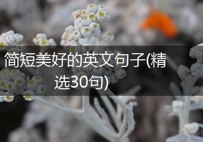 简短美好的英文句子(精选30句)