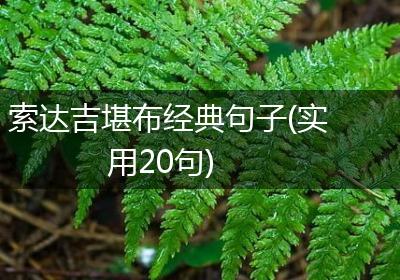 索达吉堪布经典句子(实用20句)