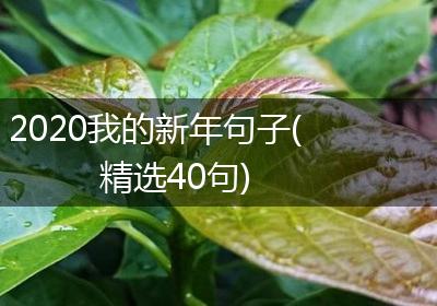 2020我的新年句子(精选40句)