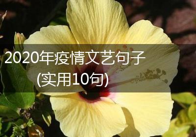 2020年疫情文艺句子(实用10句)