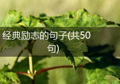 经典励志的句子(共50句)