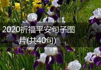 2020祈福平安句子图片(共40句)