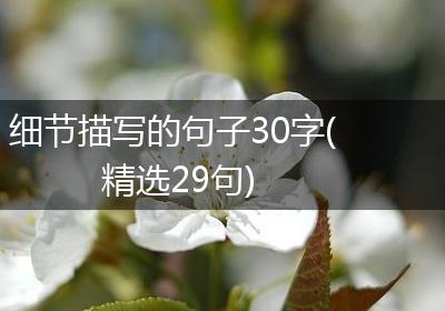 细节描写的句子30字(精选29句)