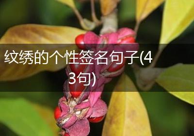 纹绣的个性签名句子(43句)
