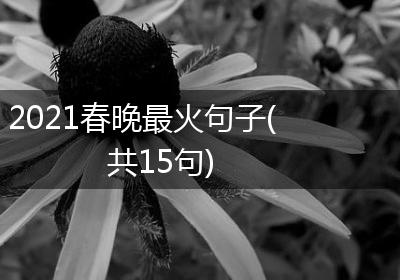 2021春晚最火句子(共15句)